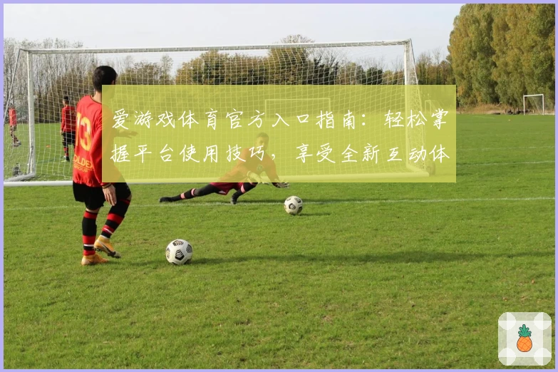 爱游戏体育官方入口指南：轻松掌握平台使用技巧，享受全新互动体验